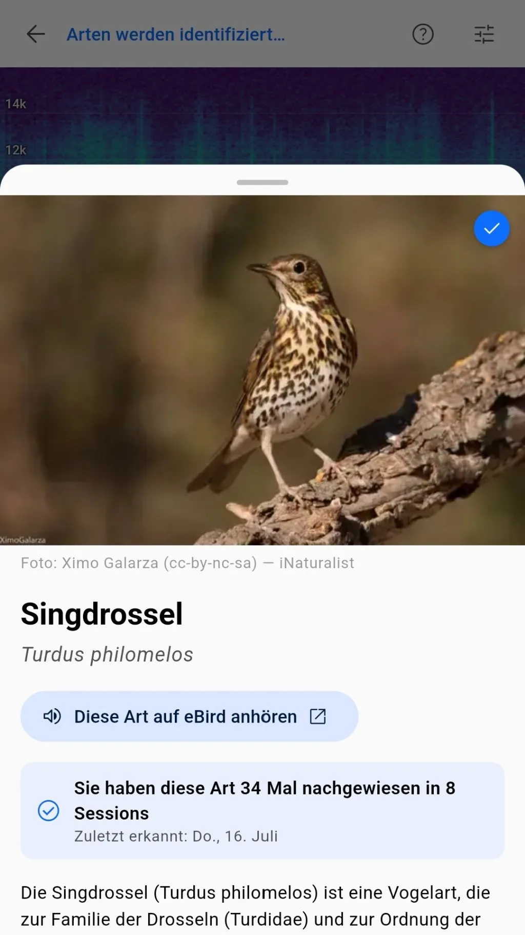 Species information