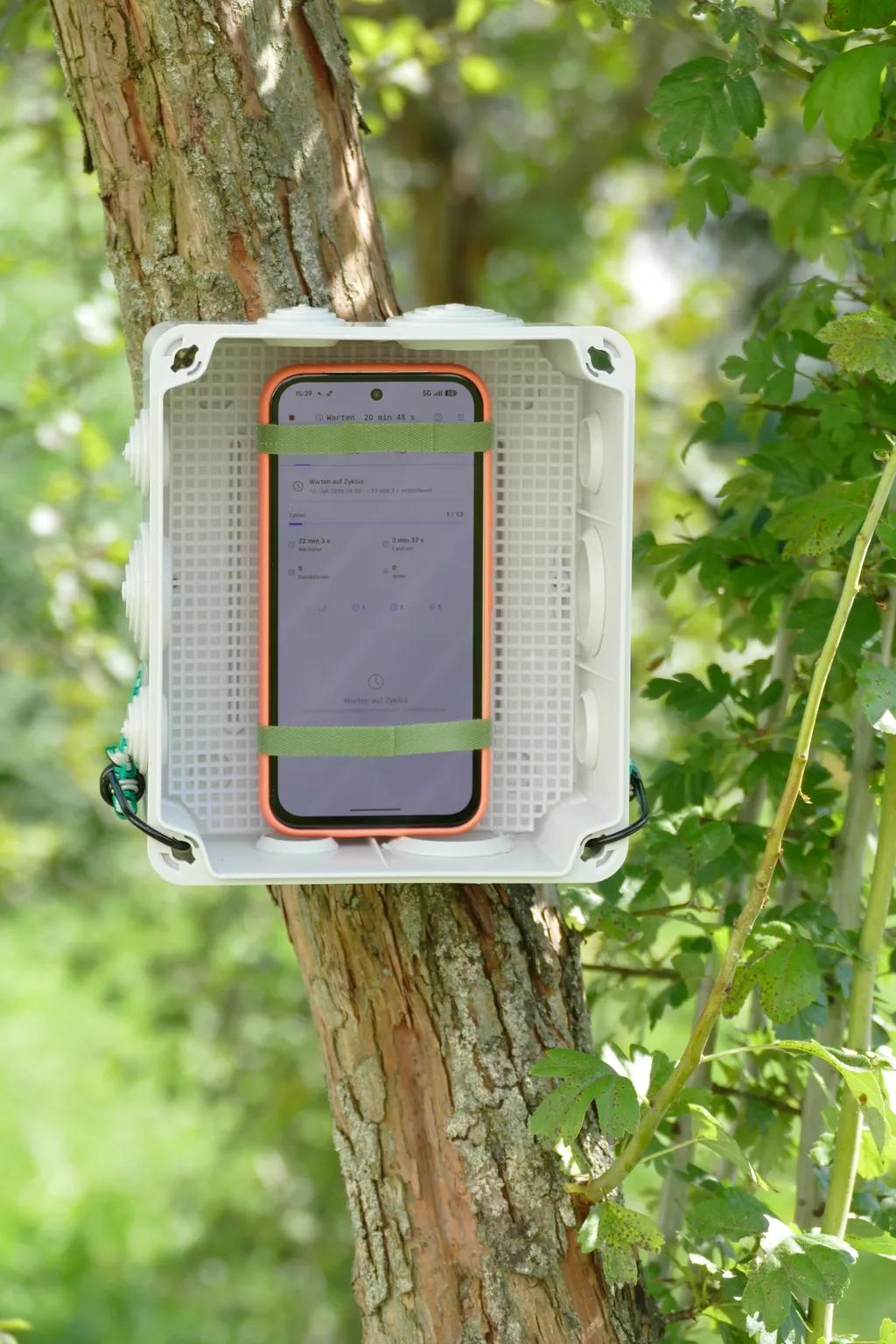 Smartphone mit BirdNET Live App in einer Abzweigdose aus dem Baumarkt.