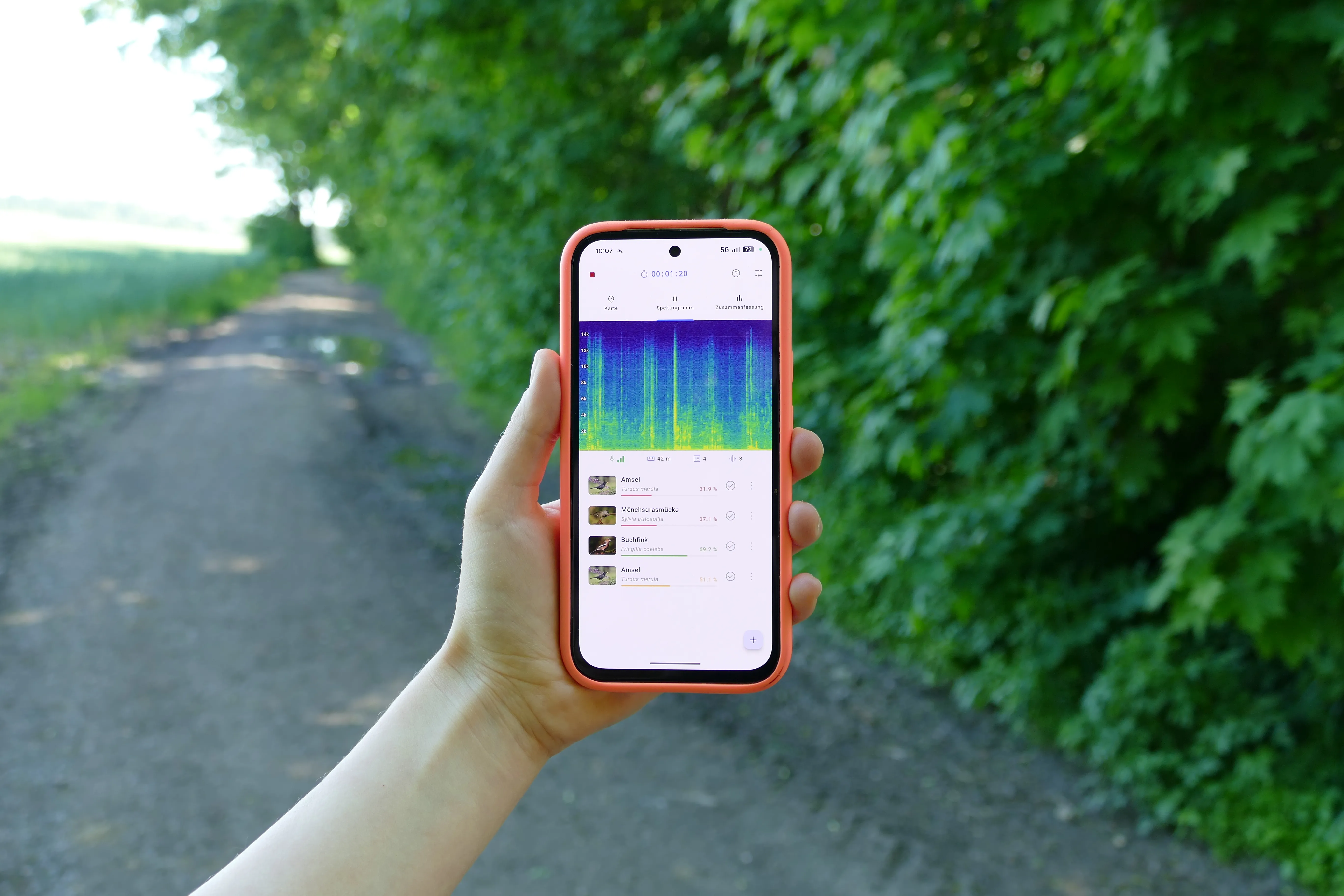 Live mode in the BirdNET Live app